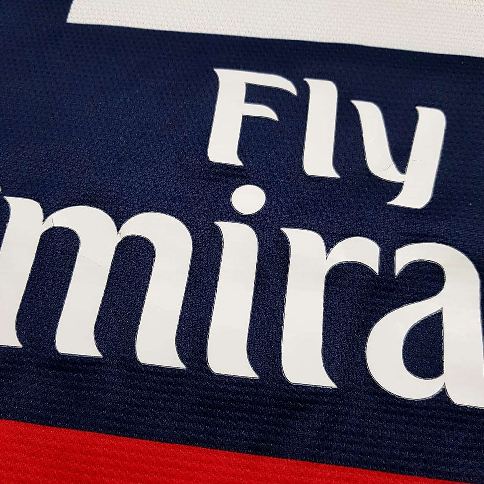 Miniatura: PSG 2013 Home G