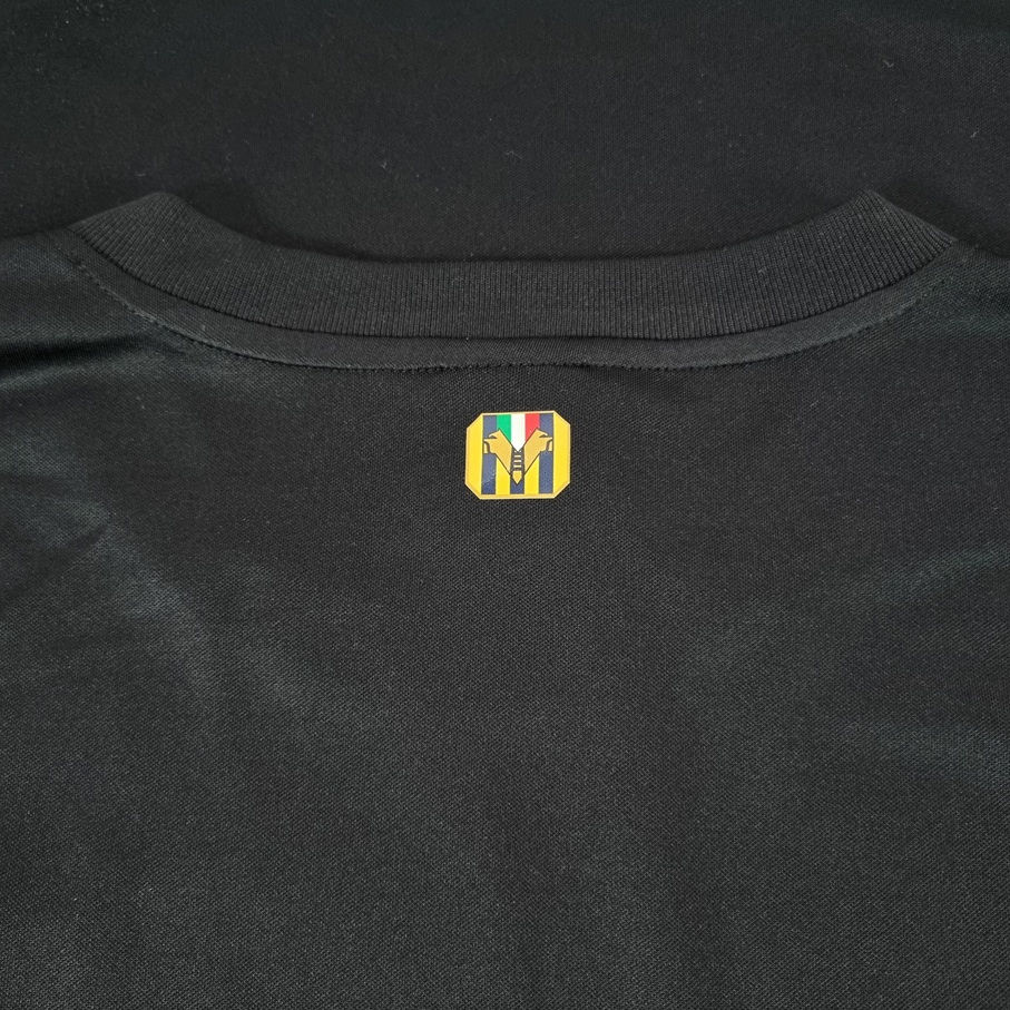 Miniatura: Hellas Verona 2013 Third