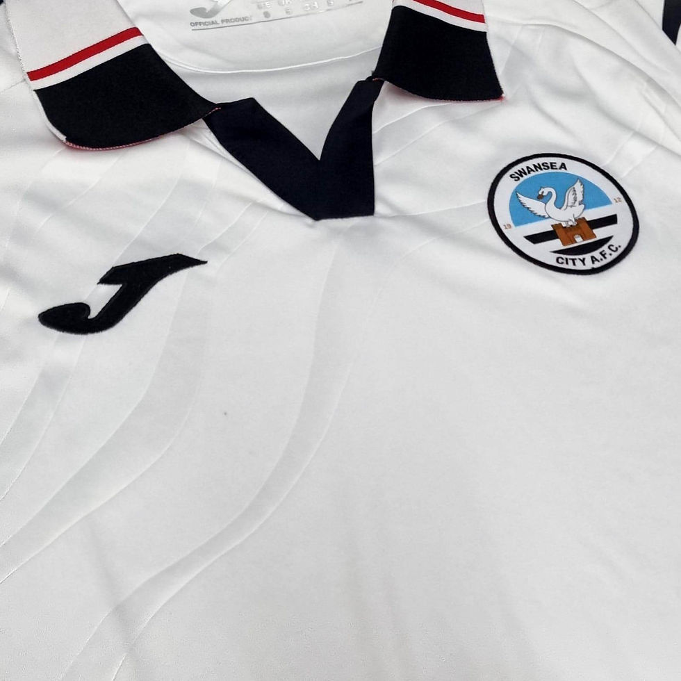 Miniatura: Swansea 2022 Home