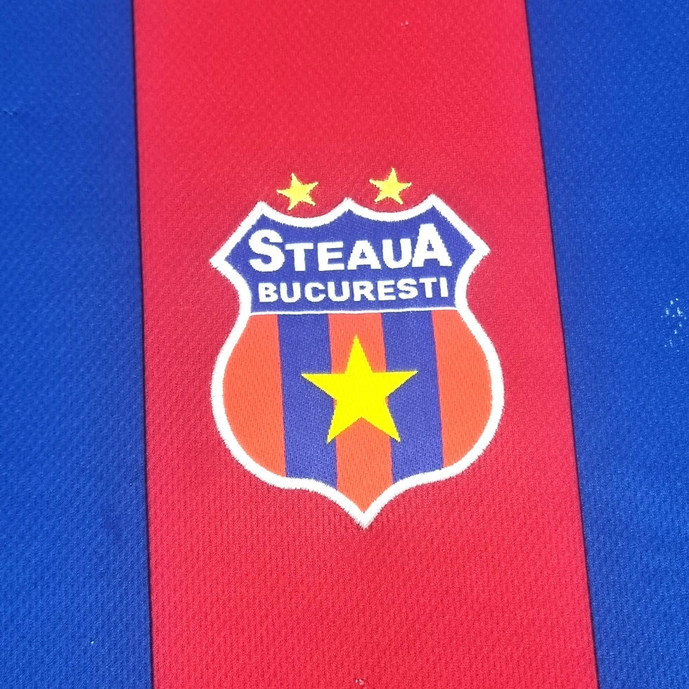 Miniatura: Steaua Bucareste 2010 Home