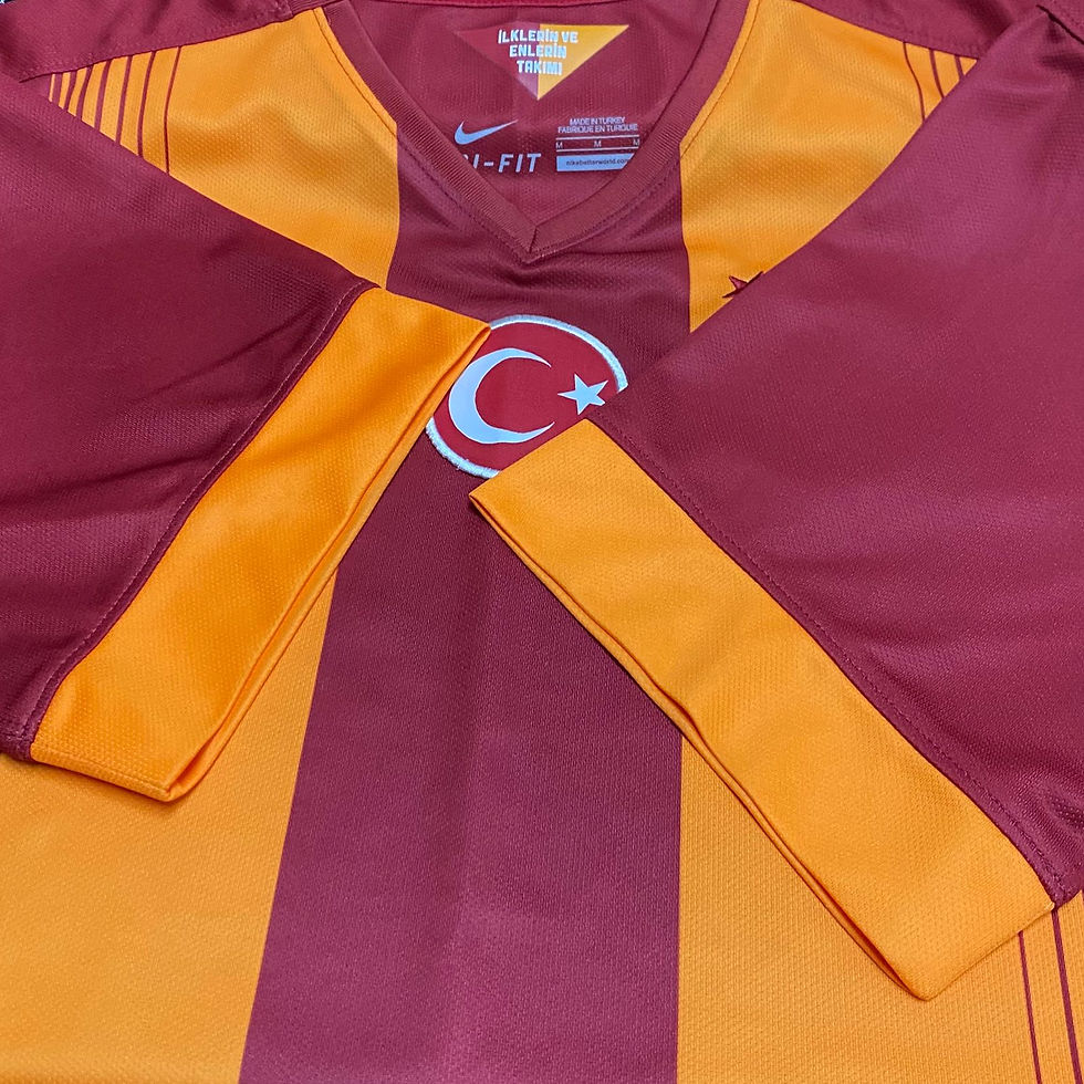 Miniatura: Galatasaray 2014 Home