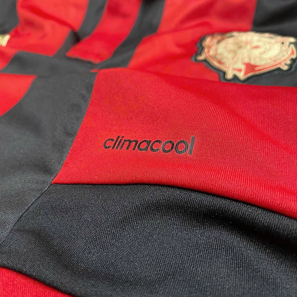 Miniatura: Sport 2015 Home