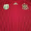 Miniatura: Espanha 2014 Home P