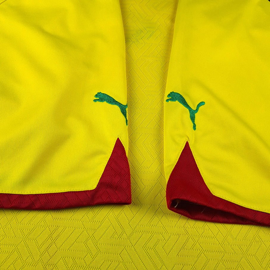 Miniatura: Camaroes 2010 Away 5/6