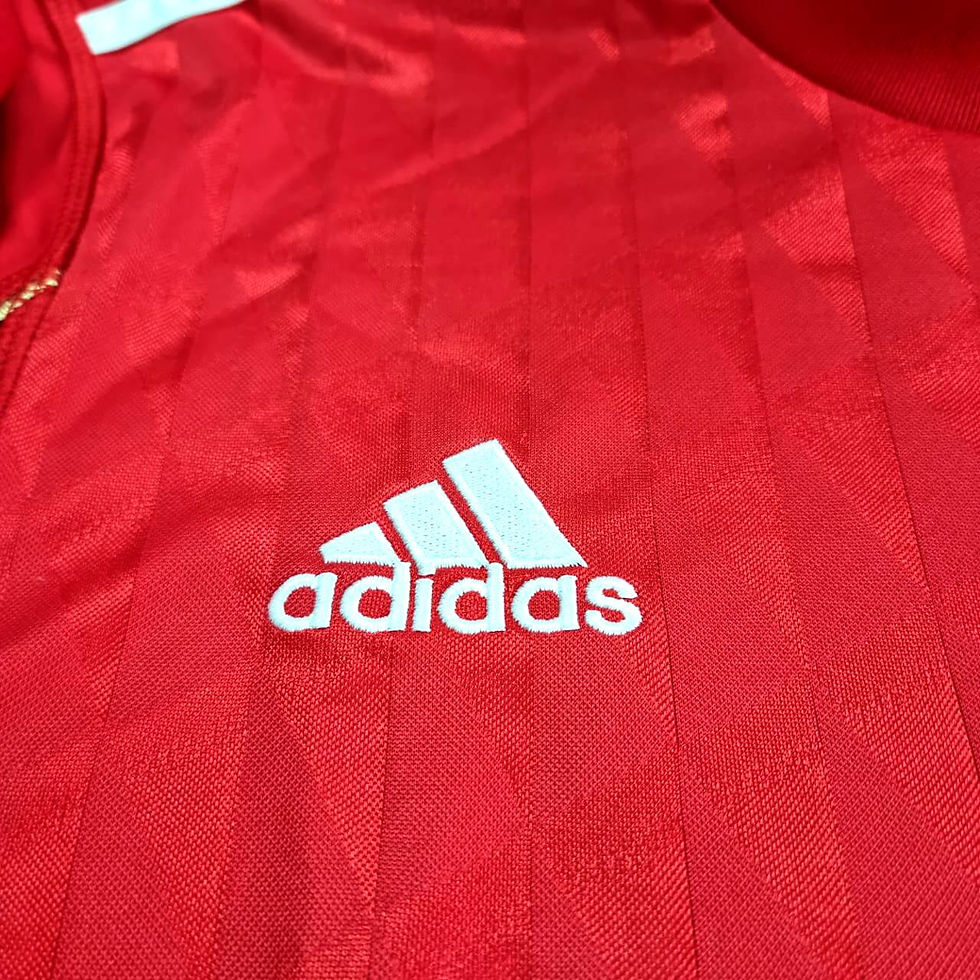 Miniatura: Liverpool 2010 Home