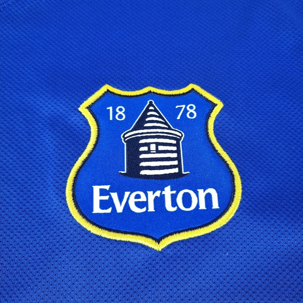 Miniatura: Everton 2013 Away
