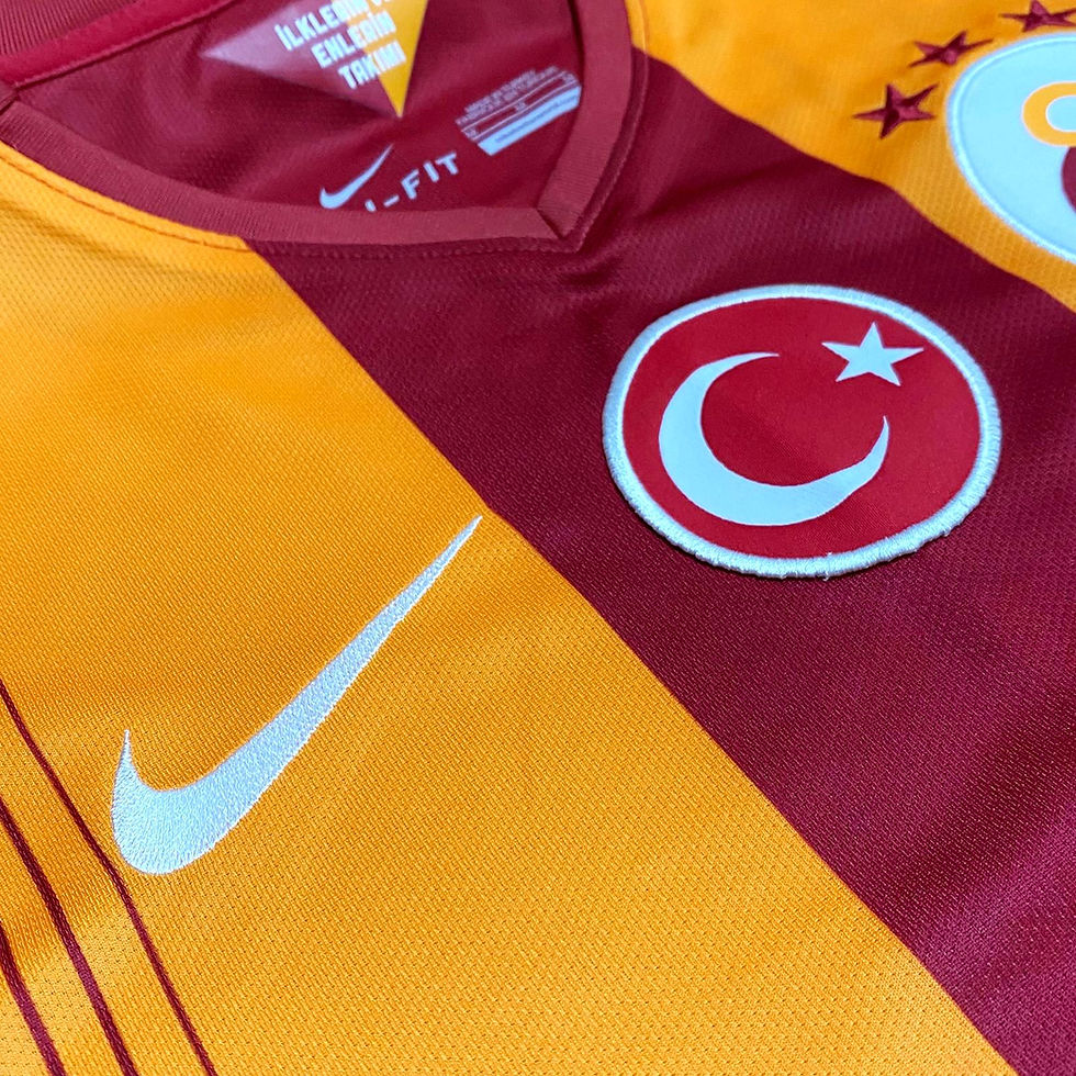 Miniatura: Galatasaray 2014 Home