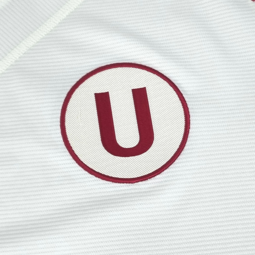 Miniatura: Universitario 2015 Home