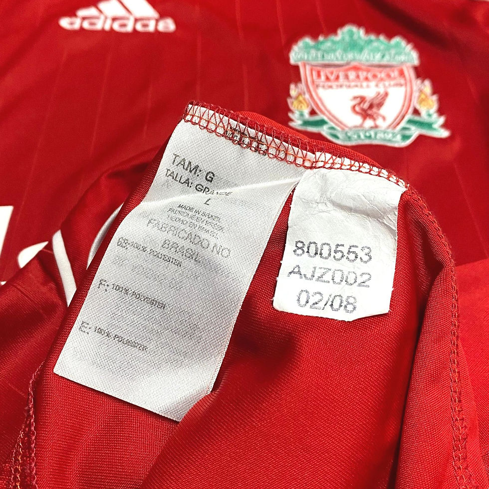 Miniatura: Liverpool 2006 Home