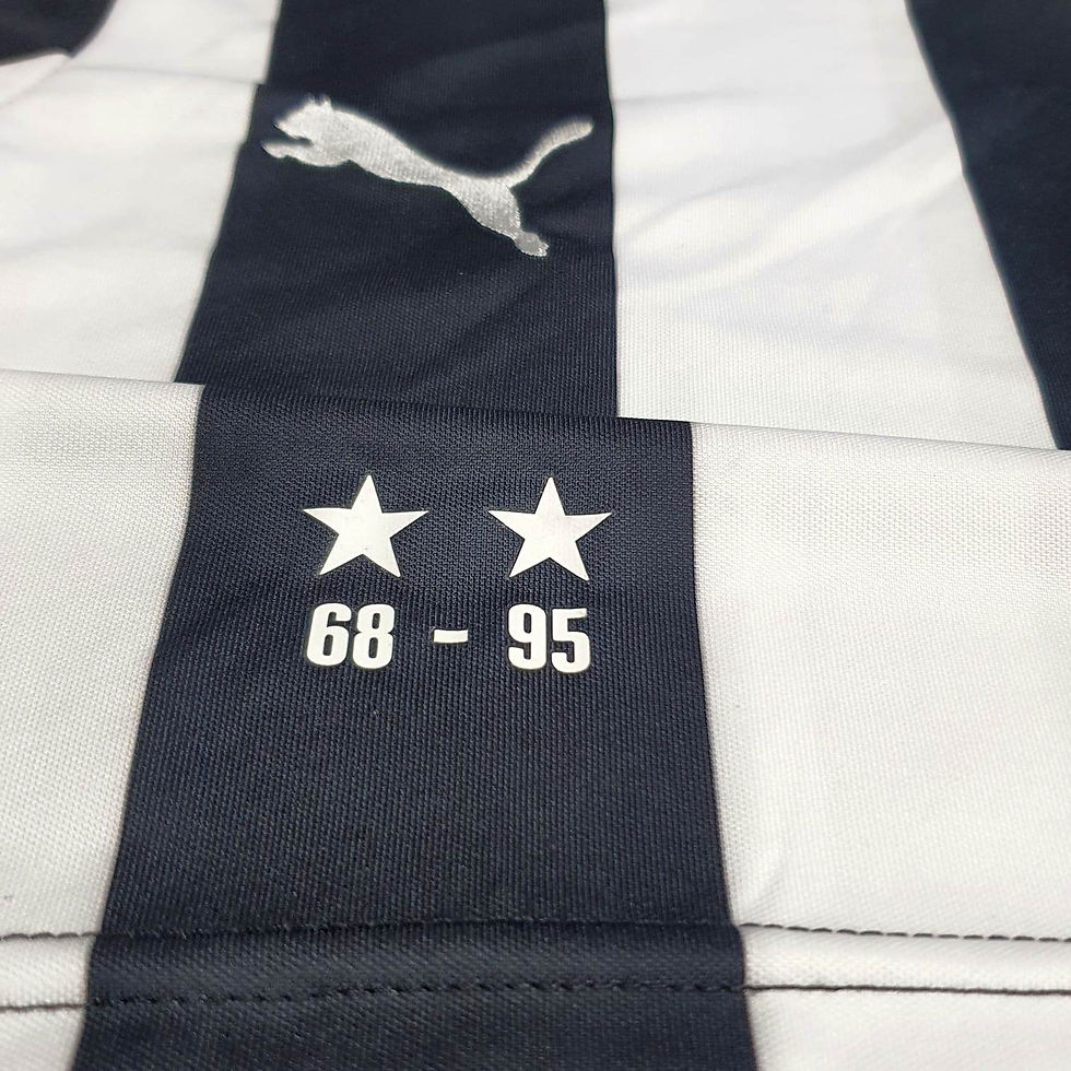 Miniatura: Botafogo 2015 Home Nova