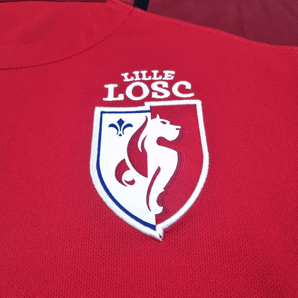 Miniatura: Lille 2015 Home