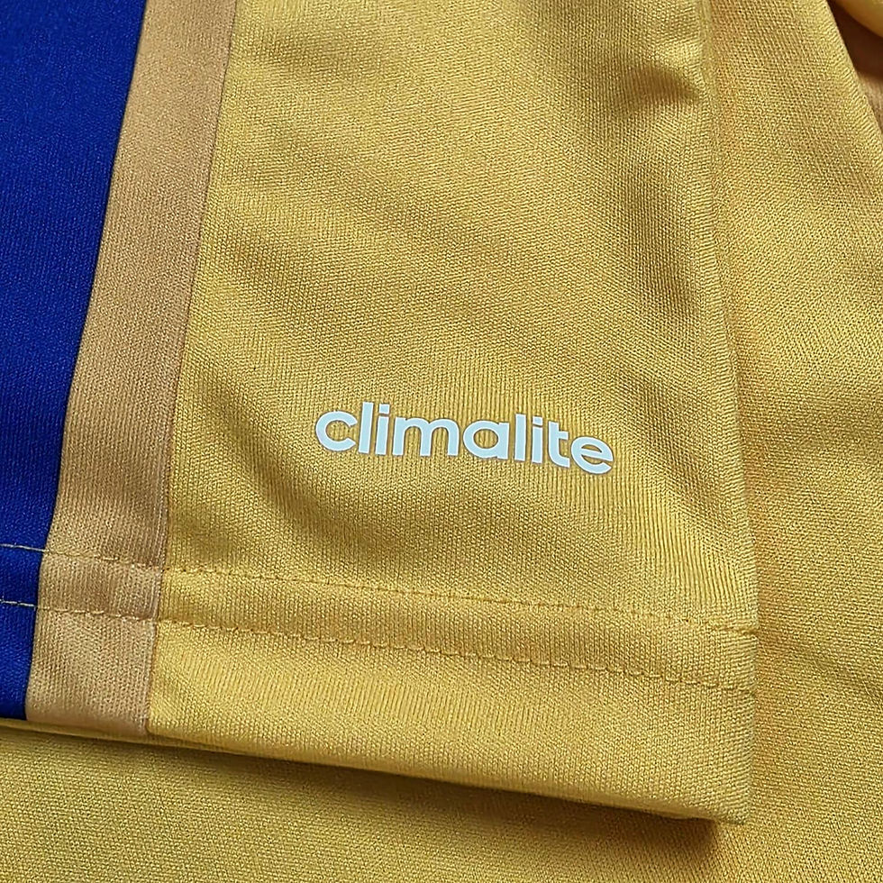 Miniatura: Pelotas 2014 Home P
