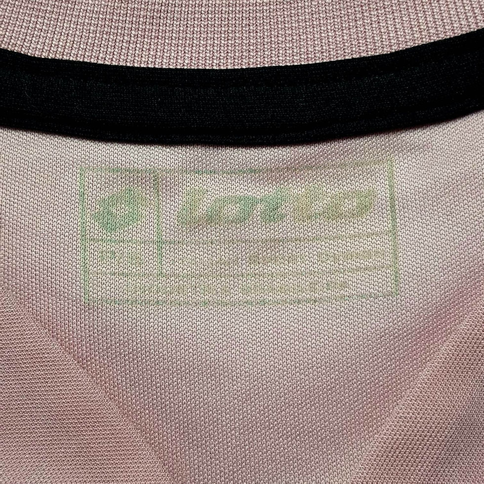 Miniatura: Palermo 2006 Home