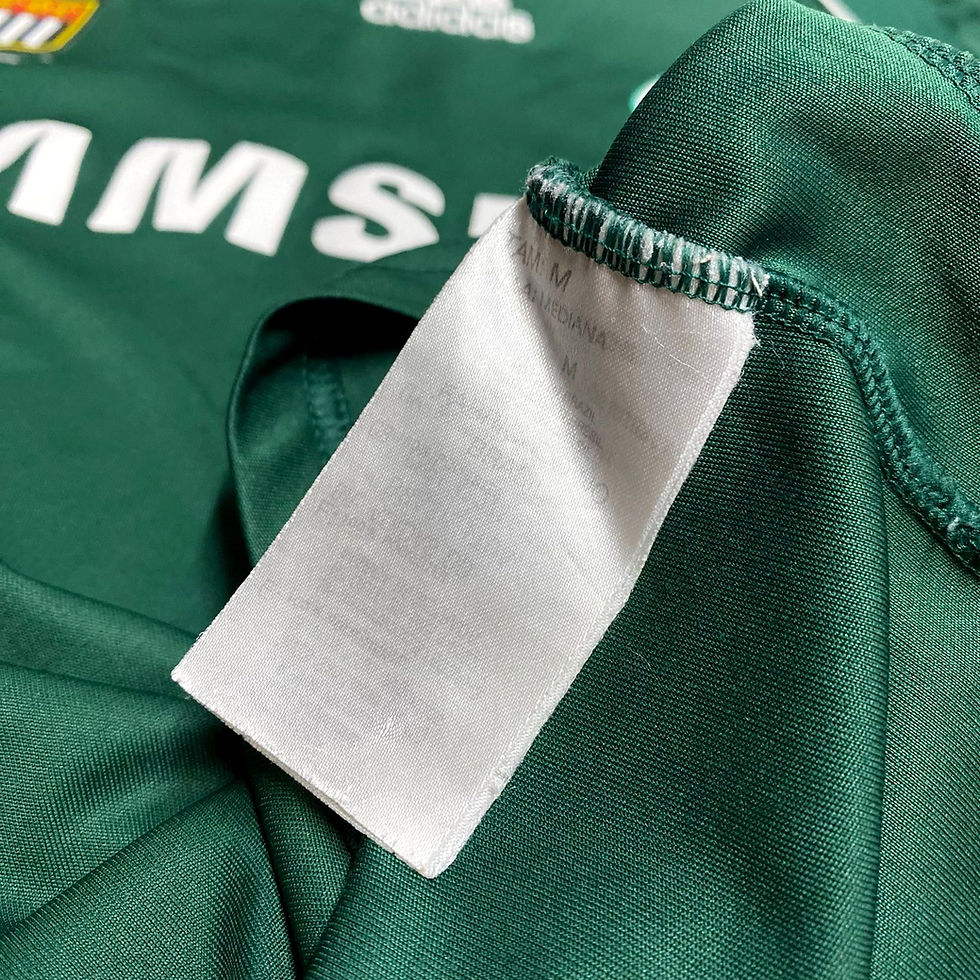 Miniatura: Palmeiras 2008 Home #7