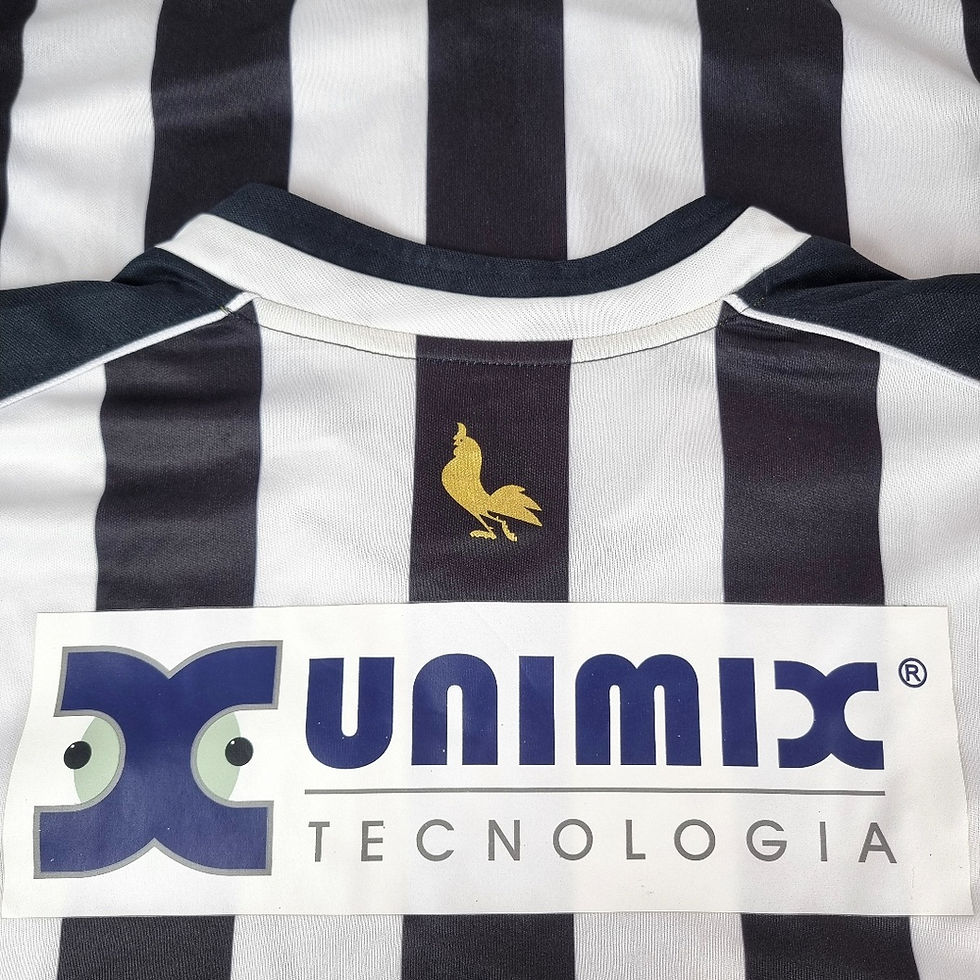 Miniatura: Treze PB 2009 Home #13
