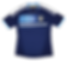 Argentina 2011 Away