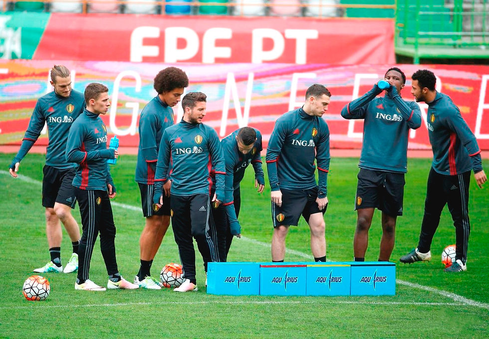 Miniatura: Moletom de Treino Bélgica Euro 2016