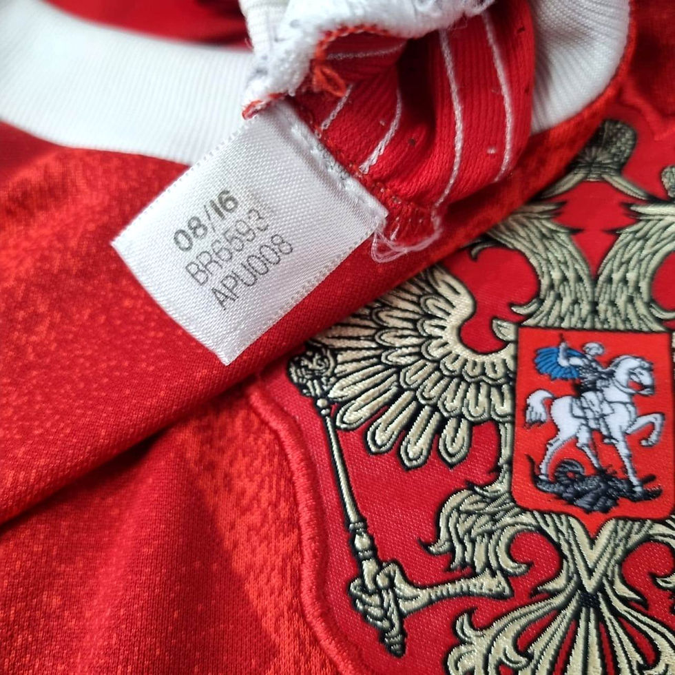 Miniatura: Russia 2017 Home M