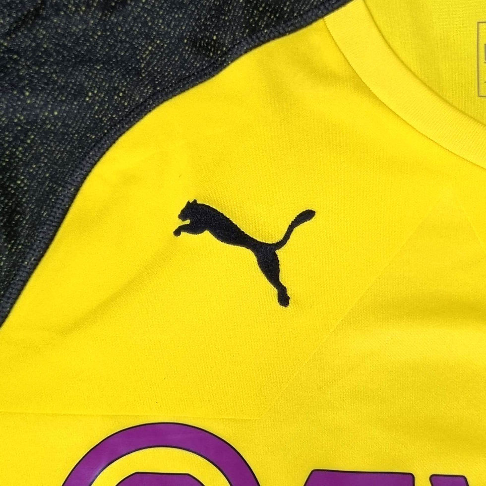 Miniatura: Borussia Dortmund 2018 Home