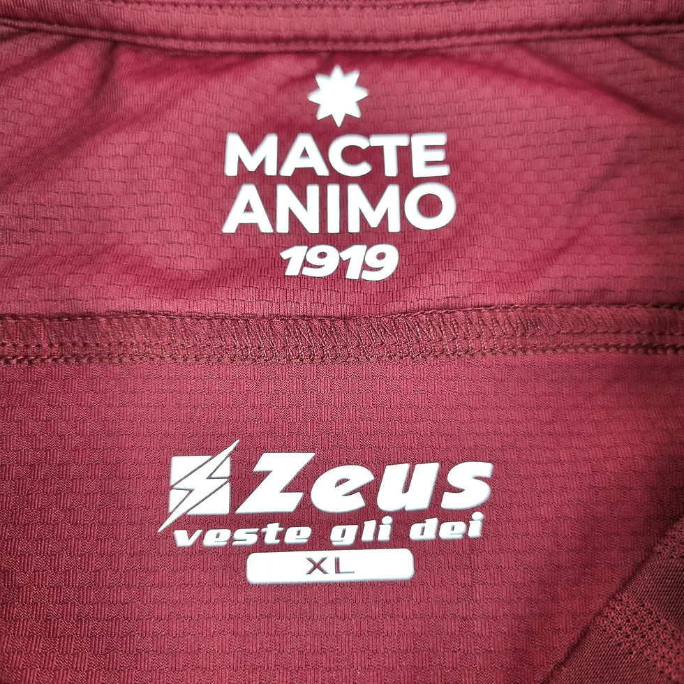 Miniatura: Salernitana 2023 Home Nova
