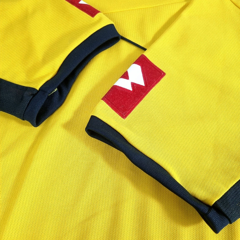 Miniatura: Sochaux 2011 Home