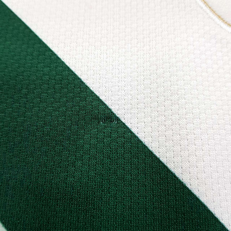 Miniatura: Eslovenia 2010 Home