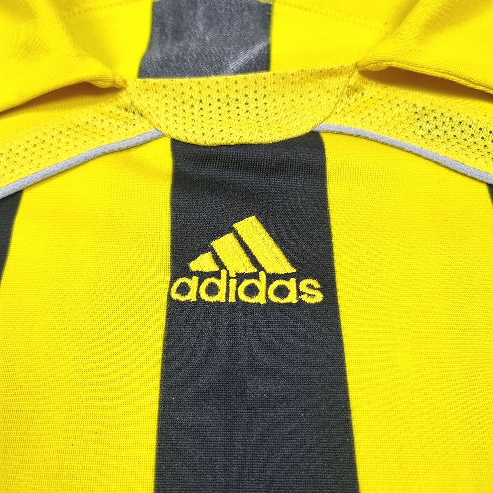 Miniatura: Aris Thessaloniki 2006 Home