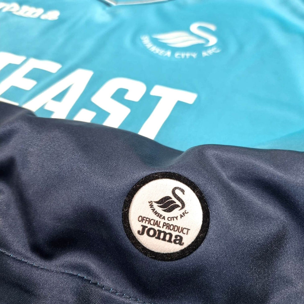 Miniatura: Swansea 2016 Away