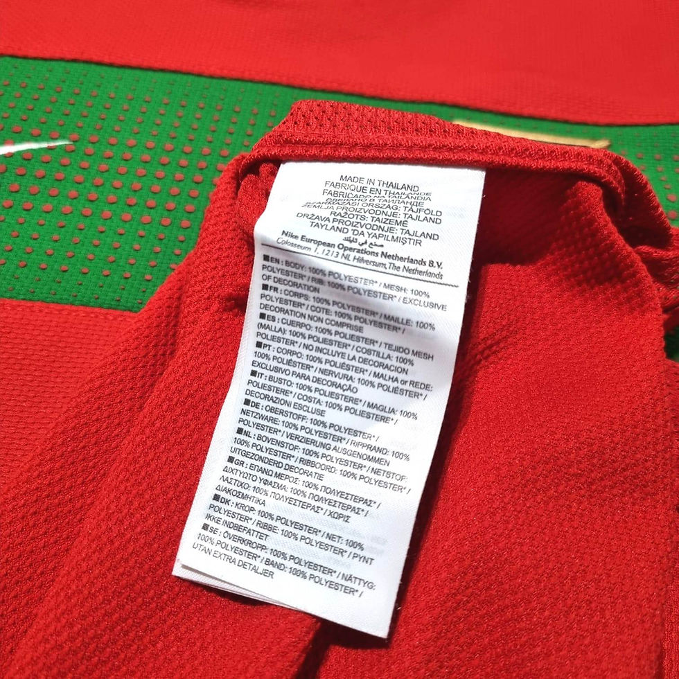 Miniatura: Portugal 2010 Home P