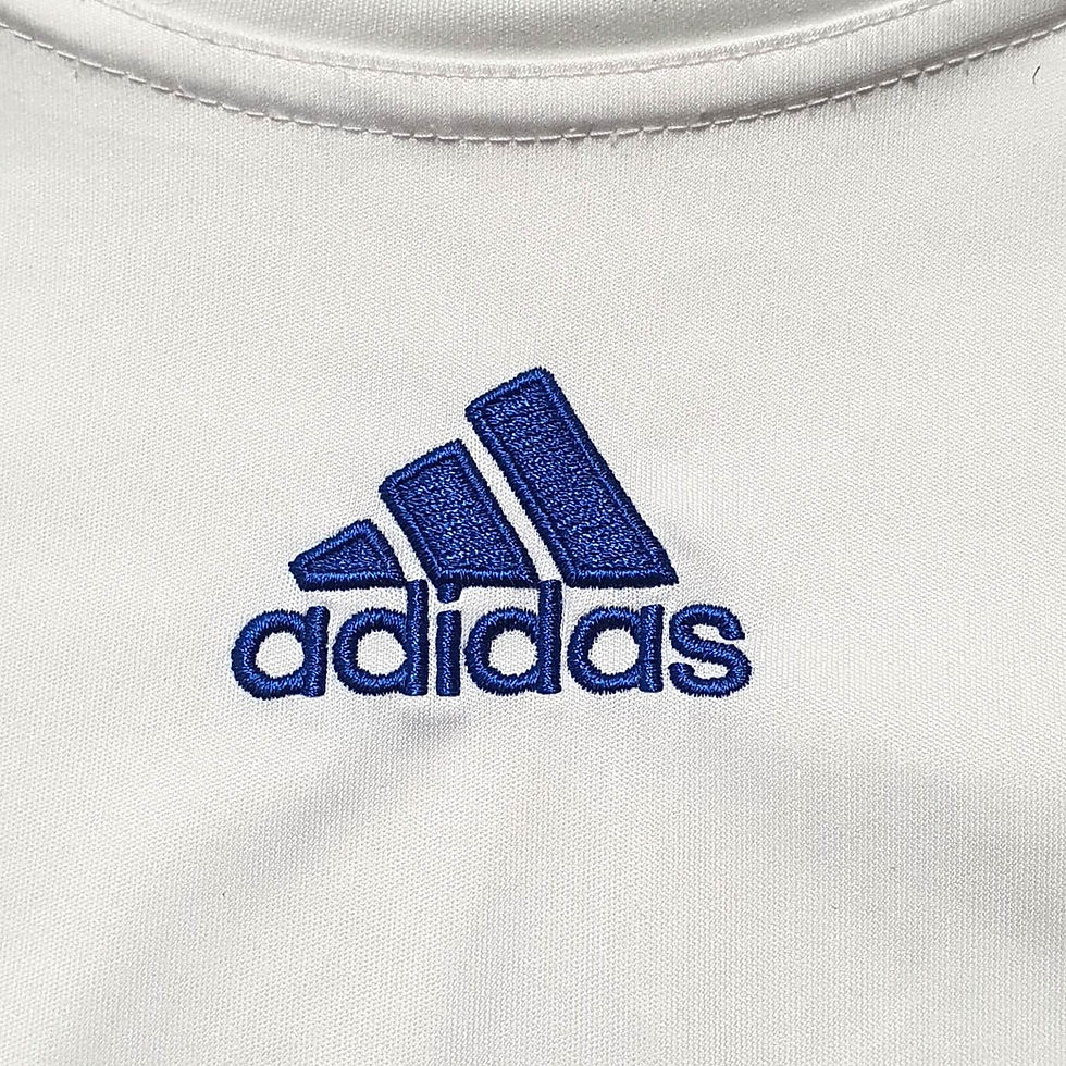 Miniatura: Lyon 2010 Home