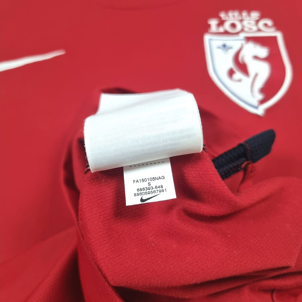 Miniatura: Lille 2015 Home