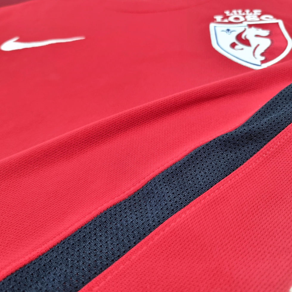 Miniatura: Lille 2015 Home