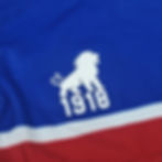 Miniatura: Fortaleza 2024 Home #18
