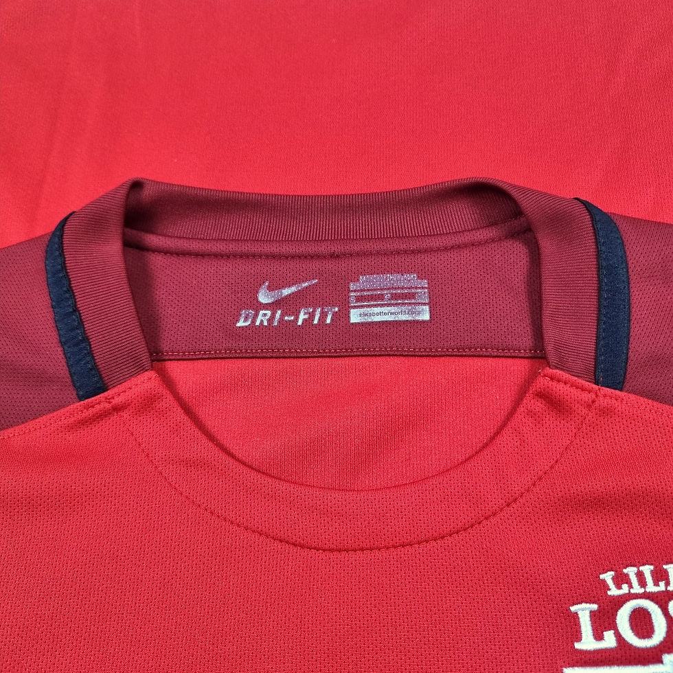 Miniatura: Lille 2015 Home