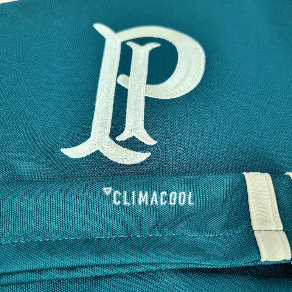 Miniatura: Palmeiras 2017 Third #7