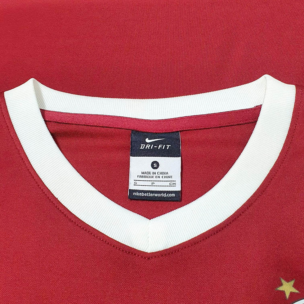Miniatura: Sparta Praga 2013 Home