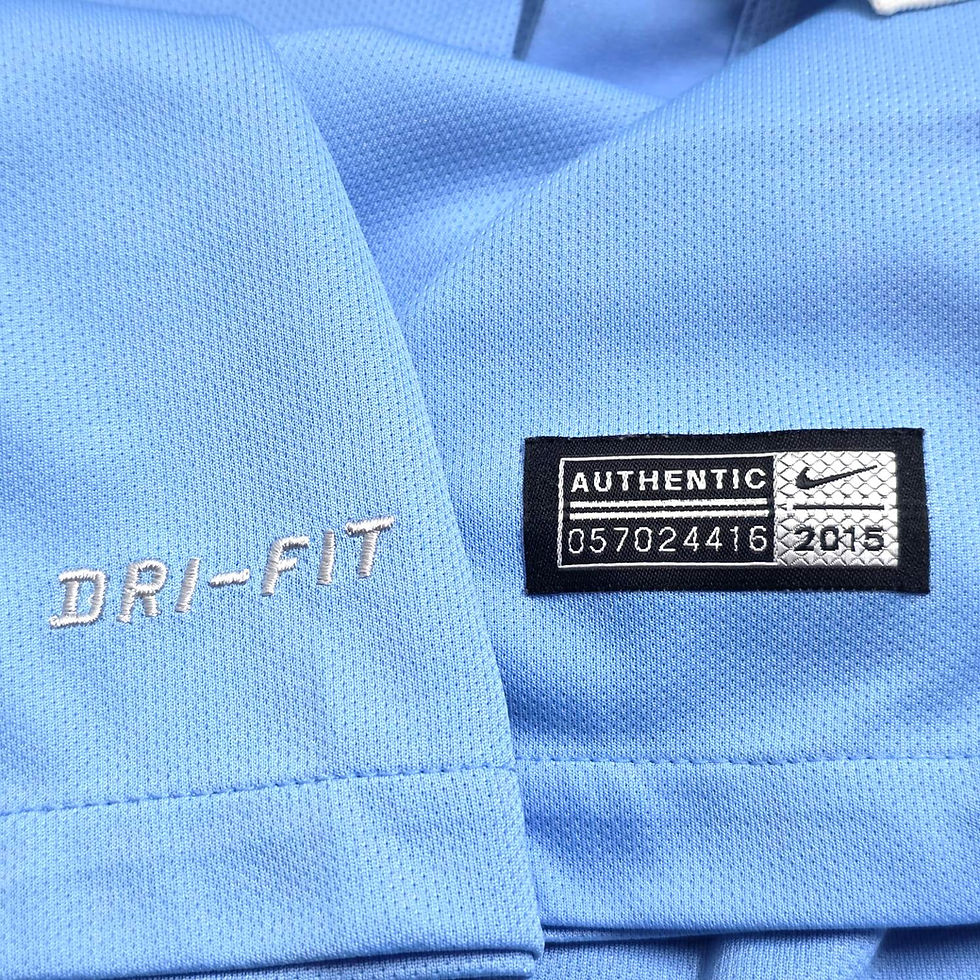 Miniatura: Manchester City 2015 Home