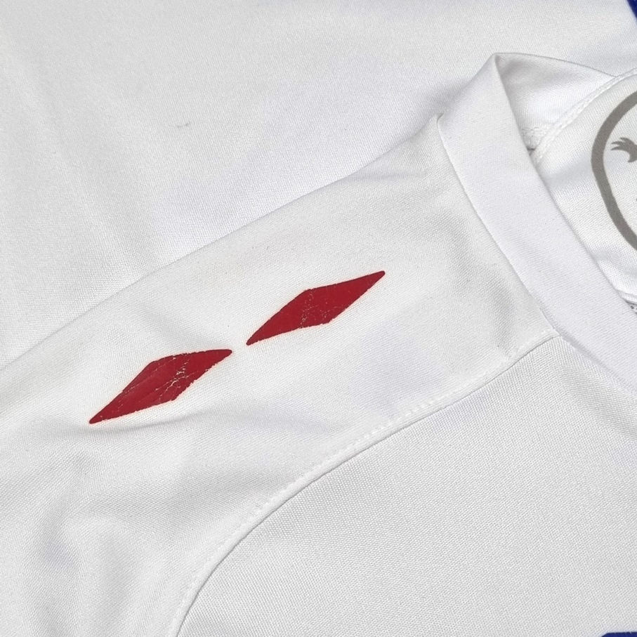 Miniatura: Lyon 2009 Home