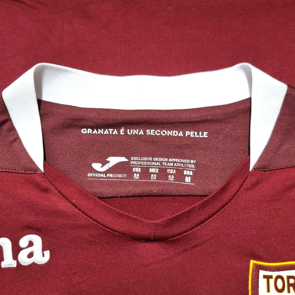Miniatura: Torino 2020 Home