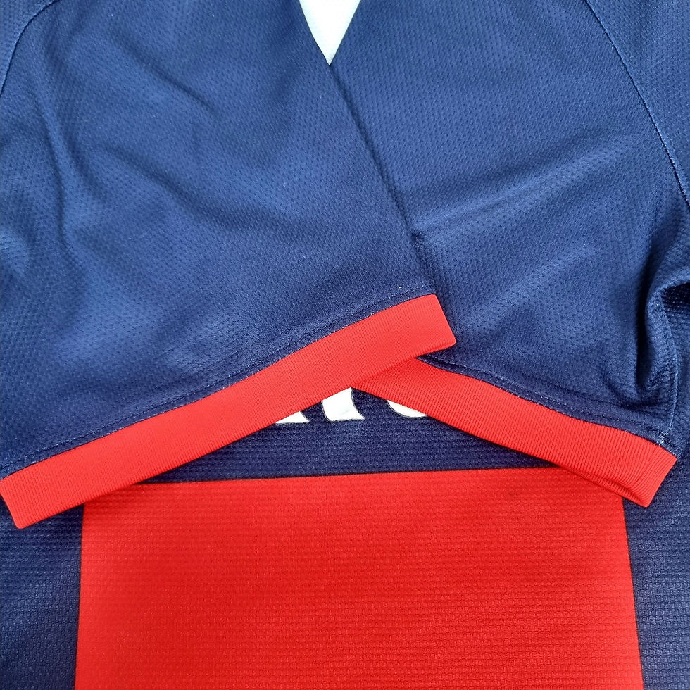 Miniatura: PSG 2013 Home #10 Ibrahimovic