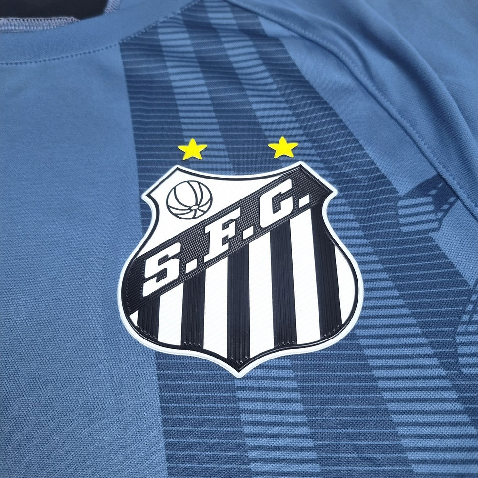 Miniatura: Santos 2020 GK #1