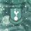 Miniatura: Tottenham 2024 Third