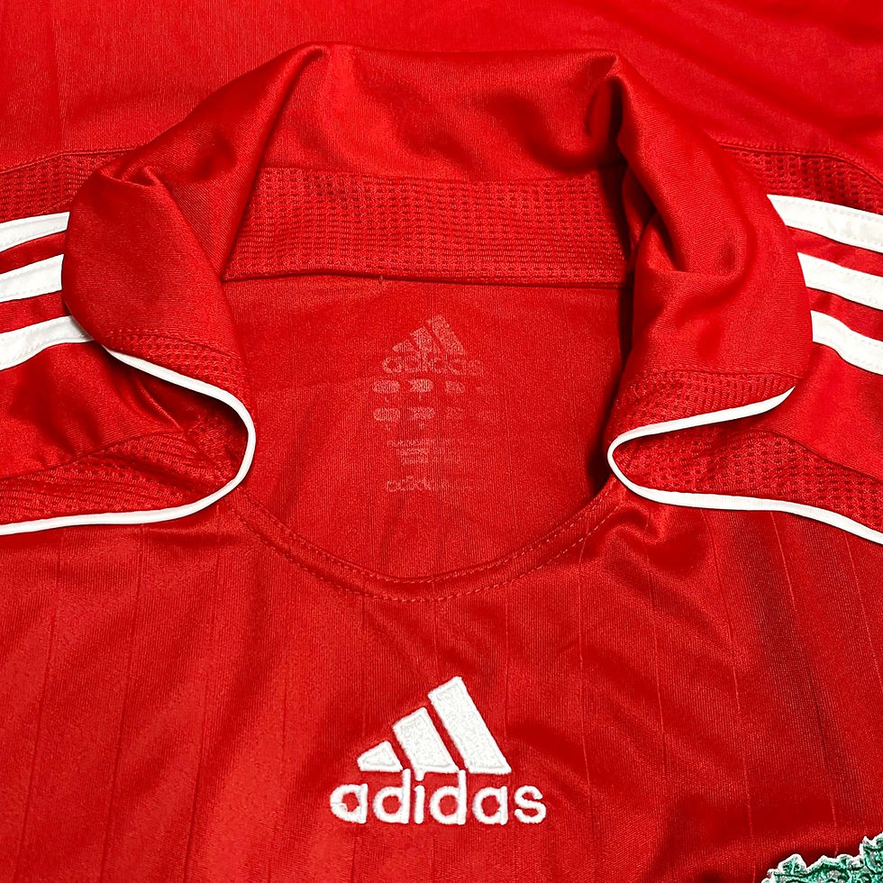 Miniatura: Liverpool 2006 Home