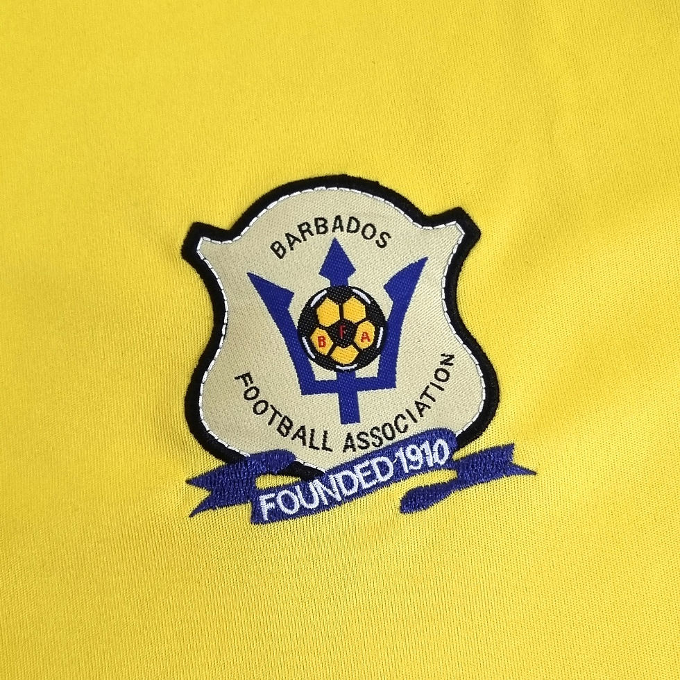 Miniatura: Barbados 2012 Home