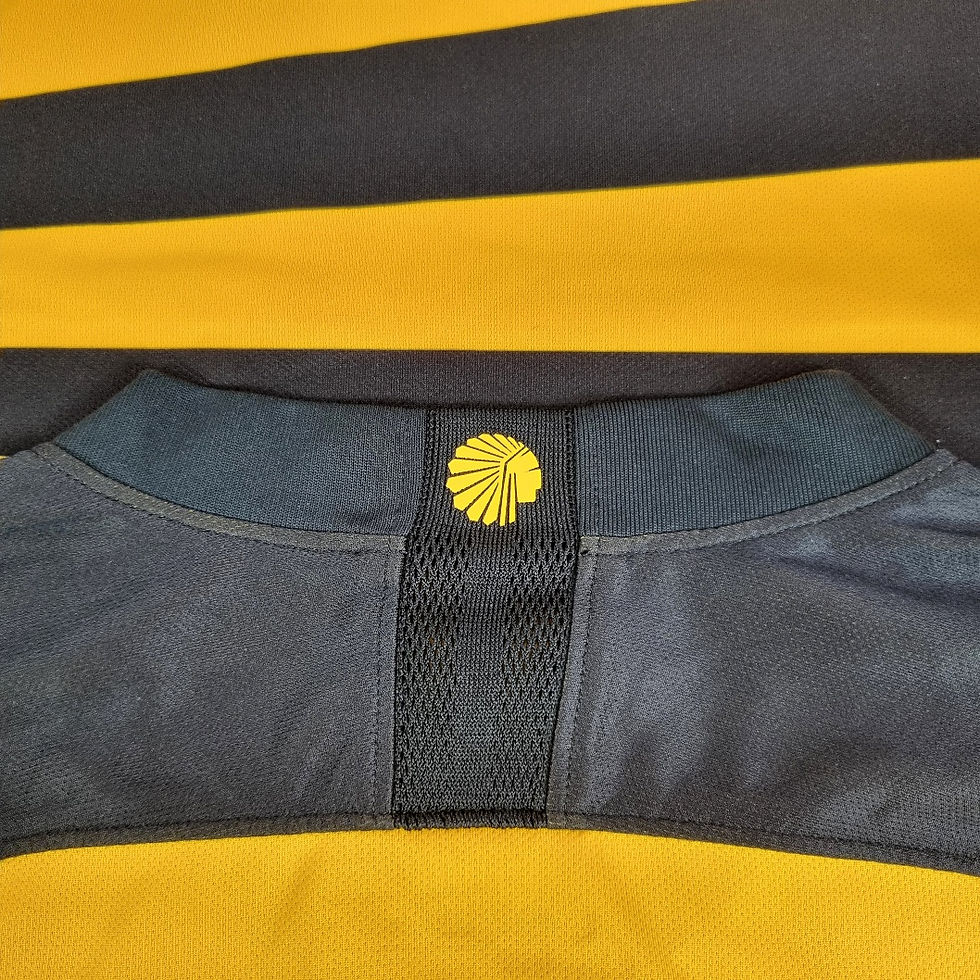 Miniatura: Kaizer Chiefs 2019 Home