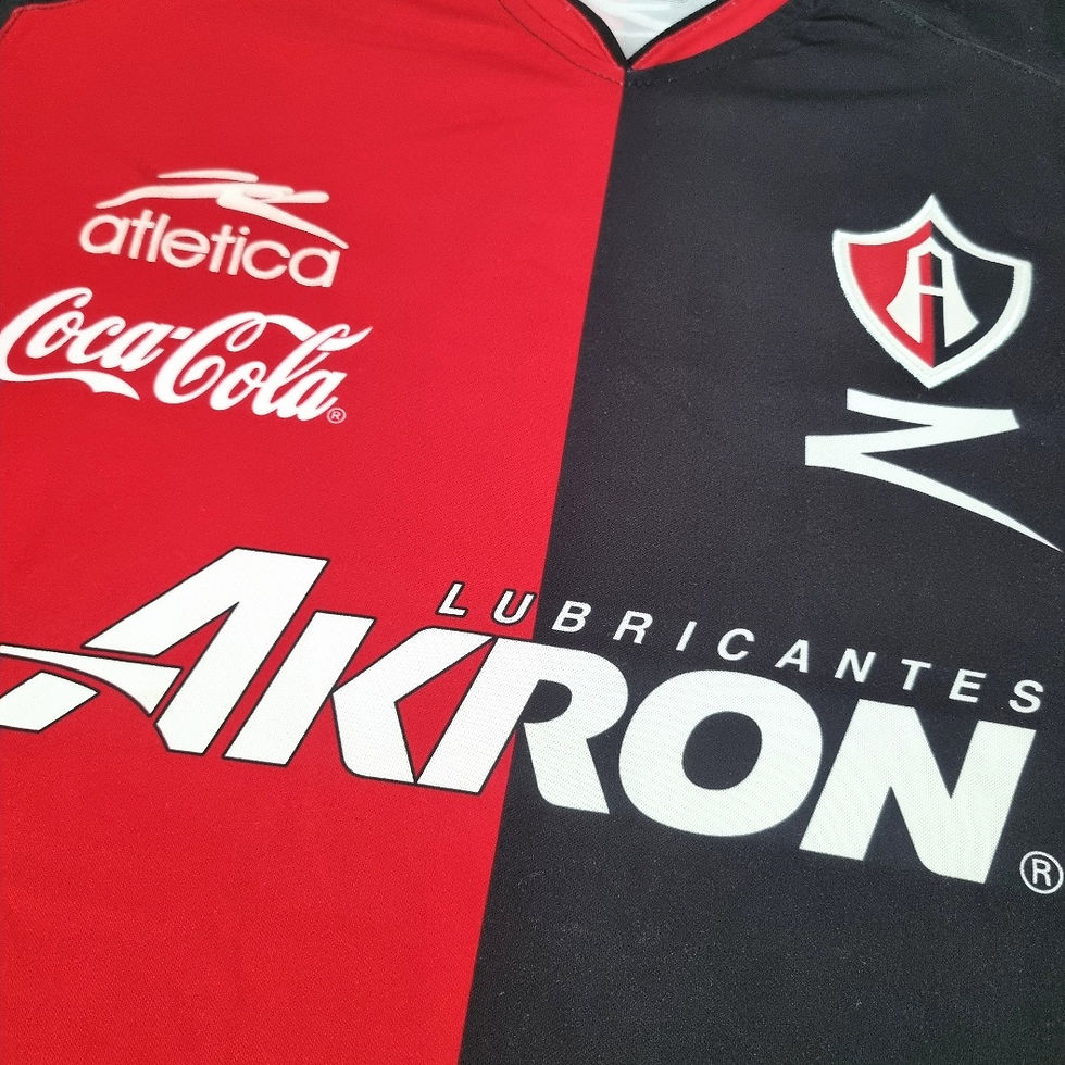 Miniatura: Atlas 2010 Home
