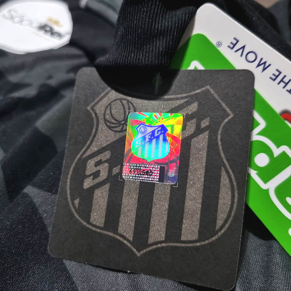 Miniatura: Santos 2017 Third P