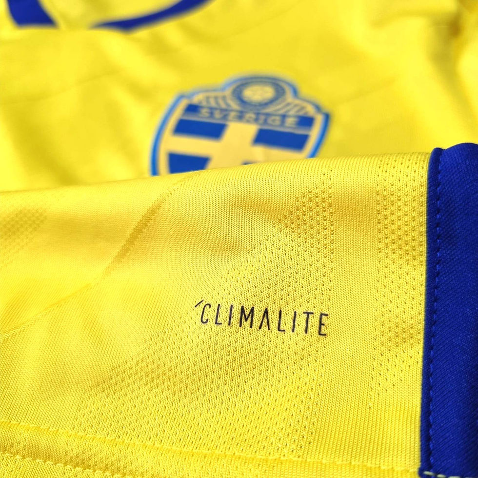 Miniatura: Suecia 2018 Home