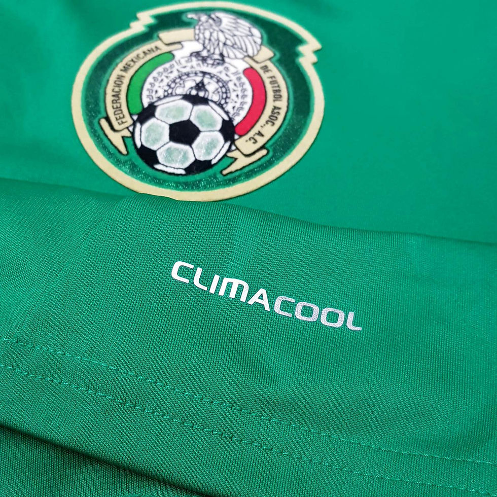 Miniatura: Mexico 2011 Home