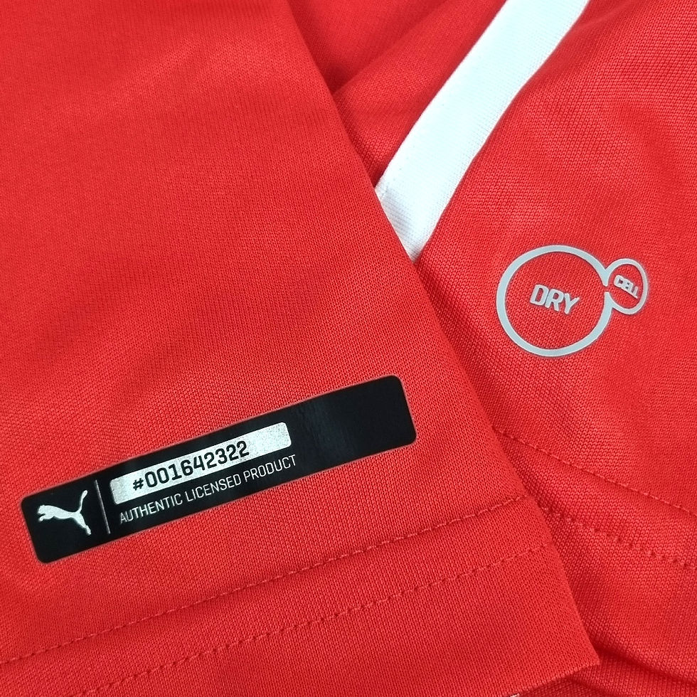 Miniatura: Chile 2014 Home Nova